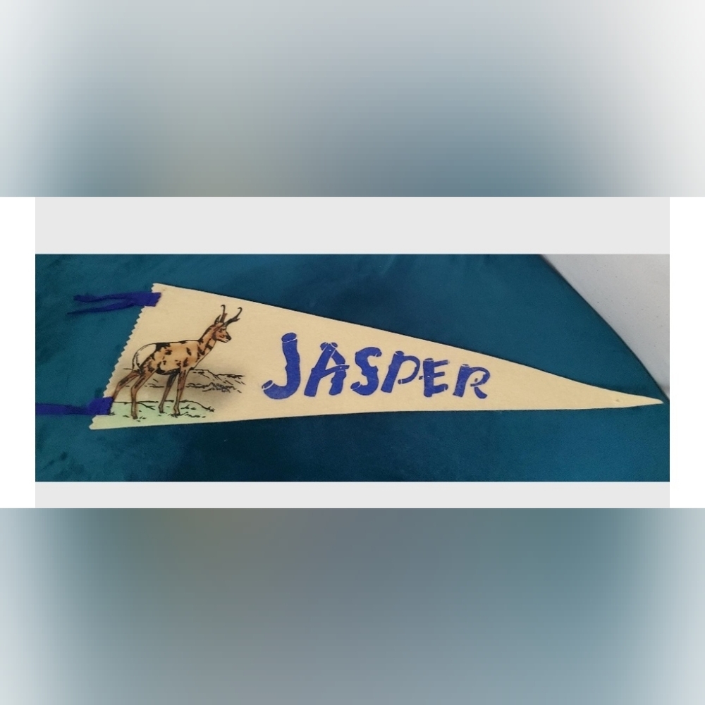 VINTAGE Souvenir/felt wall Pennant/Buck/Jasper/Travel Pennant